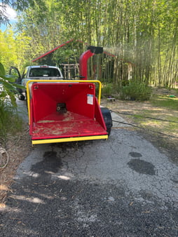 Barreto wood chipper chipping bamboo in Florida