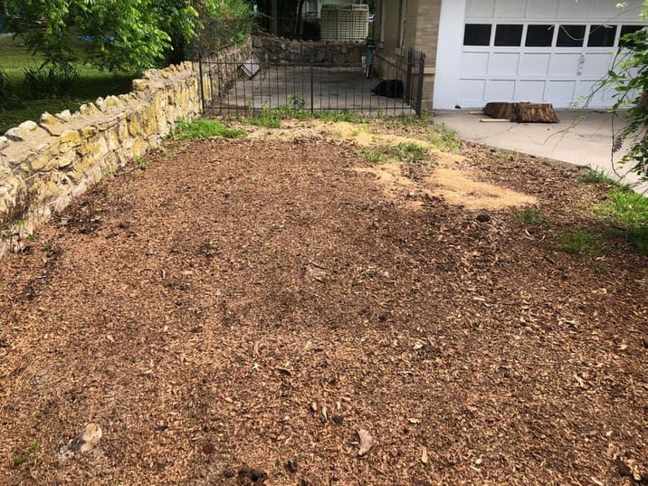 How to Use Stump Grinders 5 Steps to Removing Unsightly Stumps