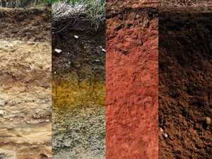 Soil-profiles